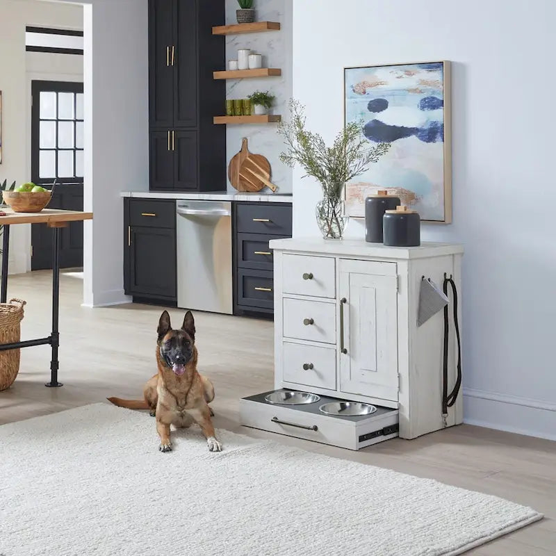 Modern Farmhouse Pet Feeder with Storage, Pull Out Drawers - 2 Finish Options